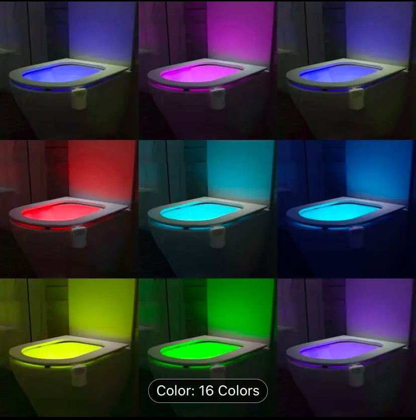 Toilet Night Light